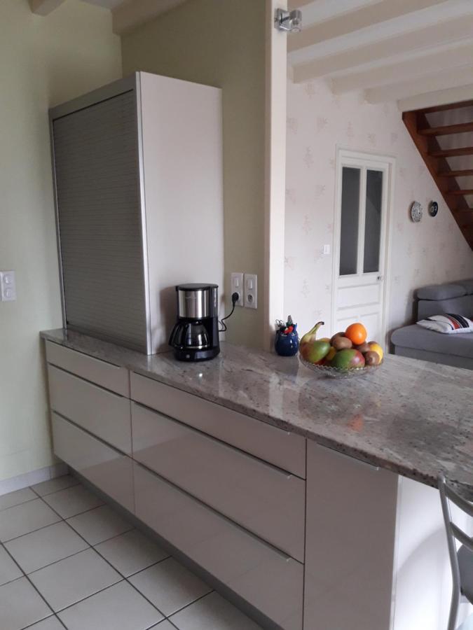 Le Logis De Lange Apt Les Aigrettes Saint-Hilaire-la-Palud Esterno foto