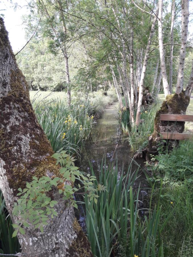 Le Logis De Lange Apt Les Aigrettes Saint-Hilaire-la-Palud Esterno foto