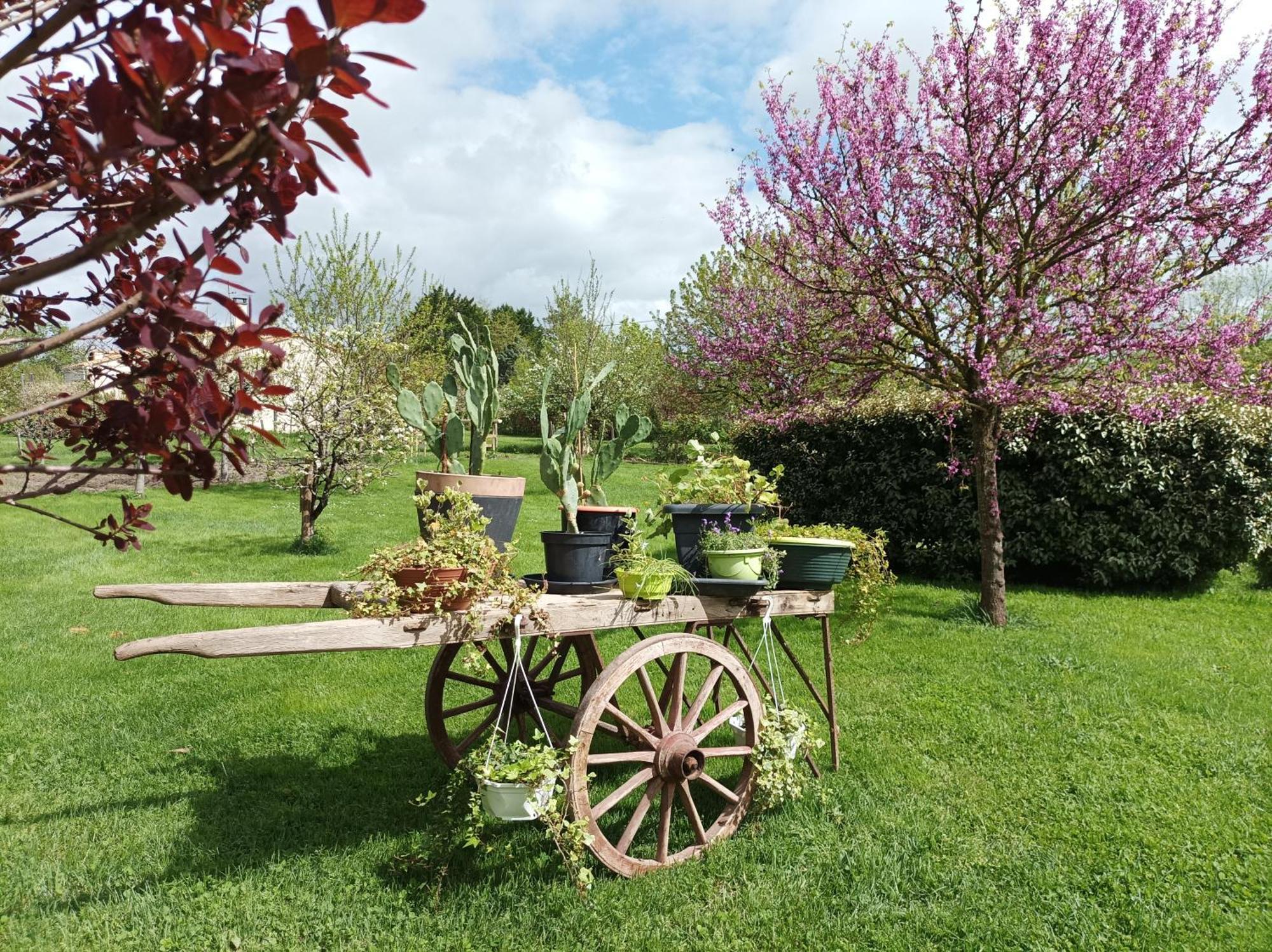 Le Logis De Lange Apt Les Aigrettes Saint-Hilaire-la-Palud Esterno foto