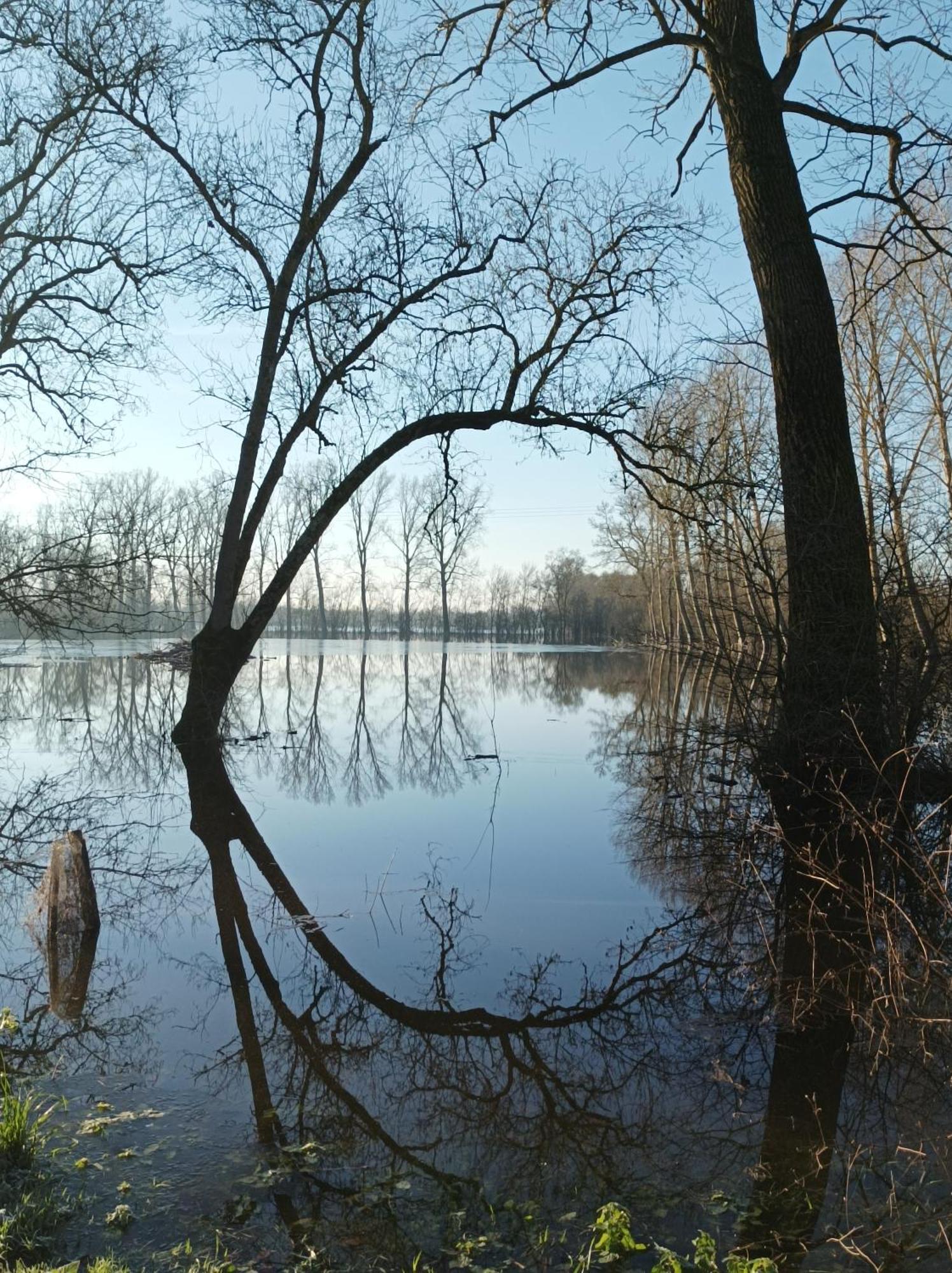 Le Logis De Lange Apt Les Aigrettes Saint-Hilaire-la-Palud Esterno foto
