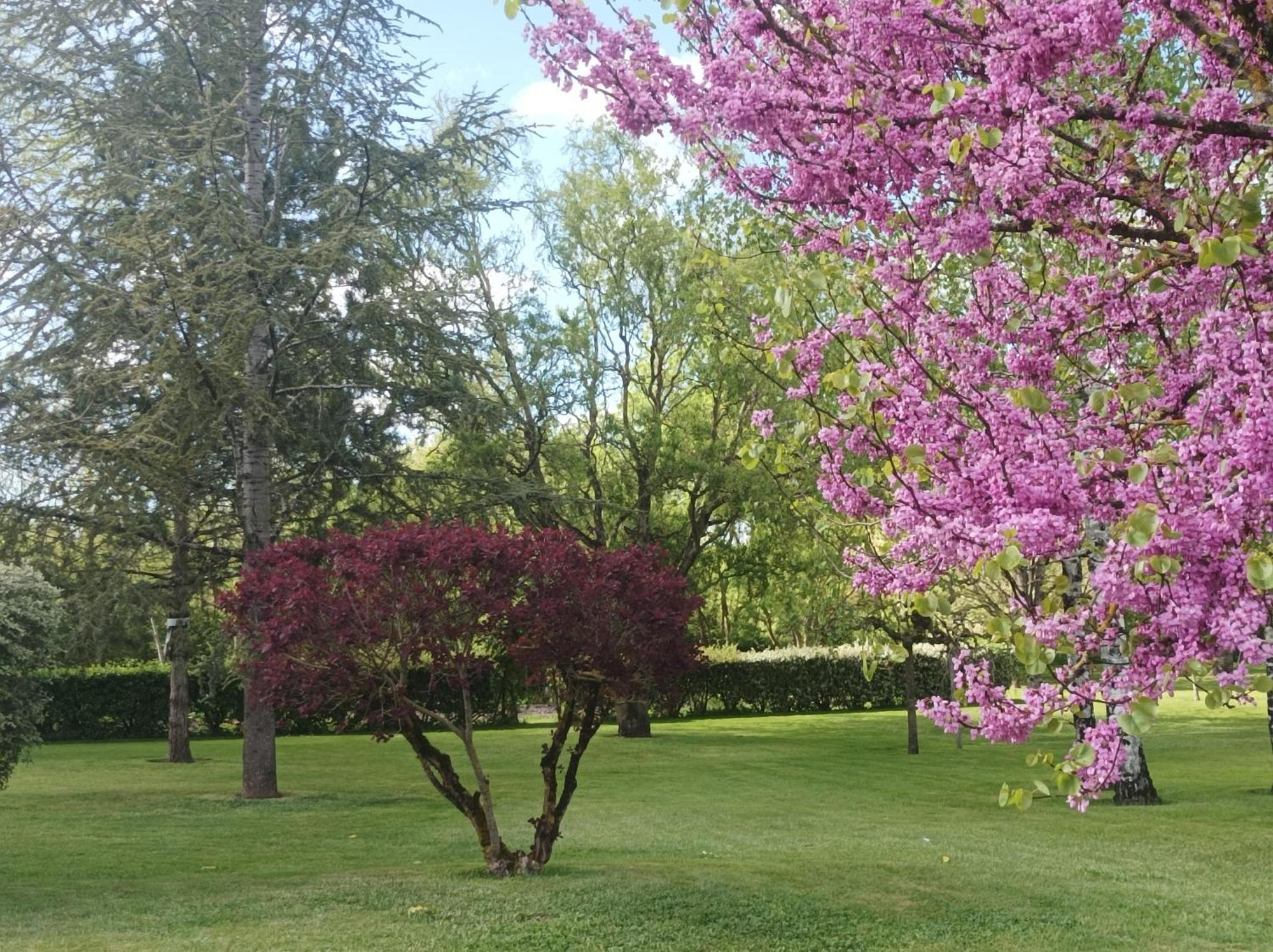 Le Logis De Lange Apt Les Aigrettes Saint-Hilaire-la-Palud Esterno foto