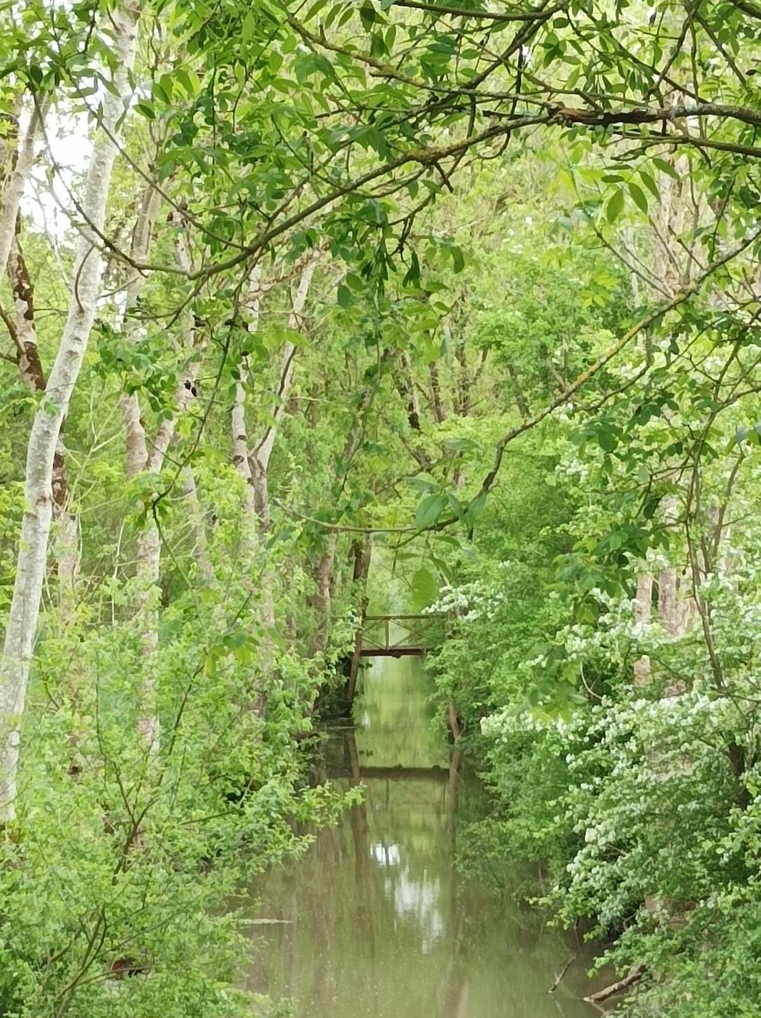 Le Logis De Lange Apt Les Aigrettes Saint-Hilaire-la-Palud Esterno foto
