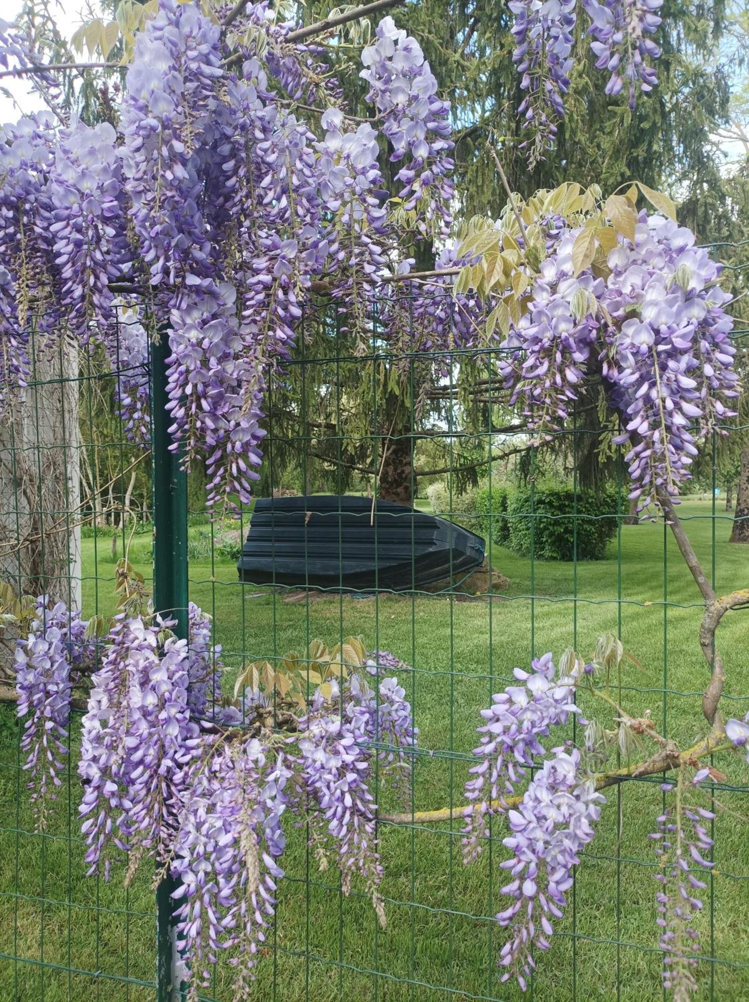 Le Logis De Lange Apt Les Aigrettes Saint-Hilaire-la-Palud Esterno foto